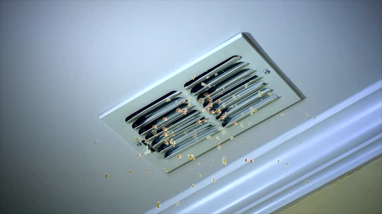 Trusted Centreville, MI Airduct Cleaning Experts