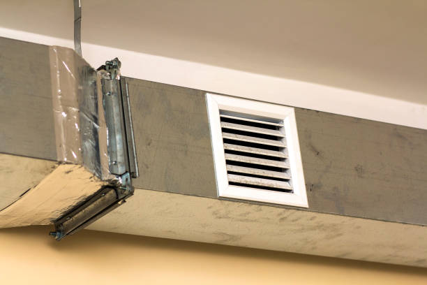 Best Affordable HVAC Duct Cleaning  in Centreville, MI