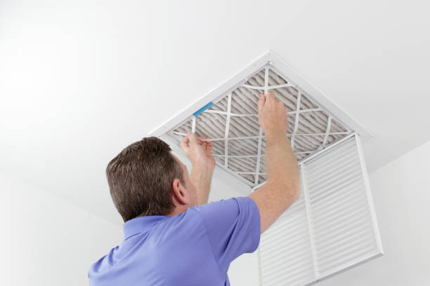 Best Affordable Air Duct Cleaning  in Centreville, MI
